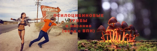 молекула духа Белокуриха