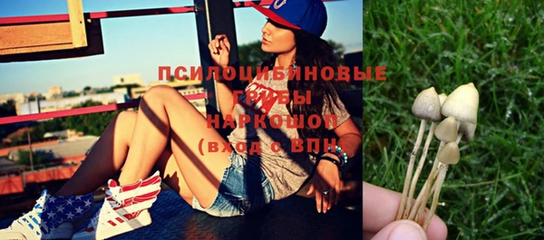 молекула духа Белоозёрский