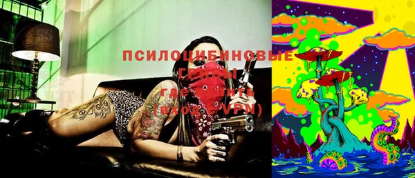 молекула духа Белокуриха