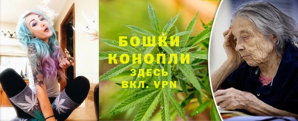 молекула духа Белокуриха