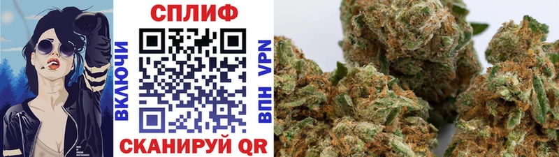 OMG как войти  Кунгур  Бошки Шишки AK-47 