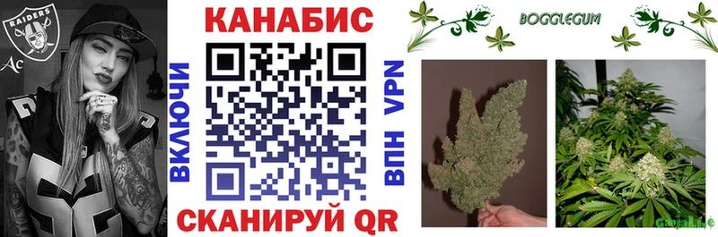 Конопля гибрид Кунгур